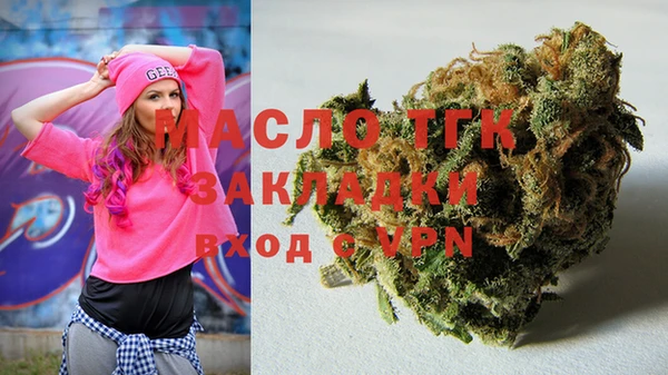 индика Горняк