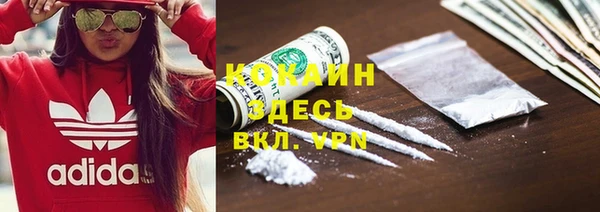 ALPHA PVP Горнозаводск