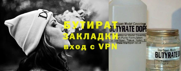 индика Горняк