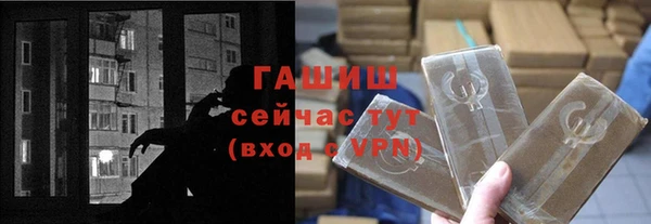 индика Горняк