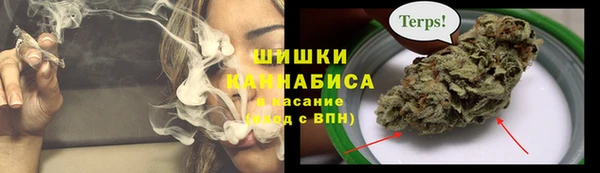 индика Горняк