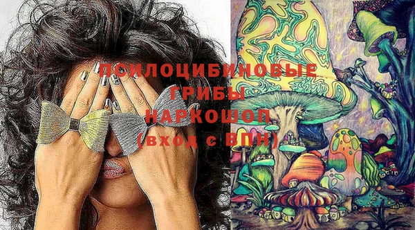 индика Горняк