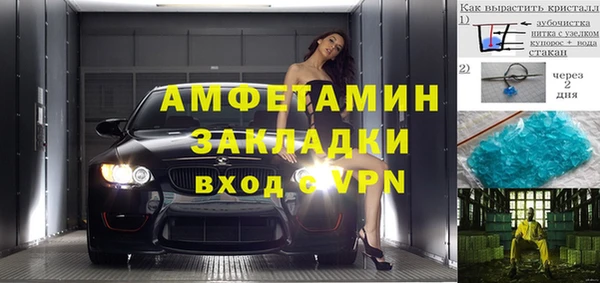 индика Горняк